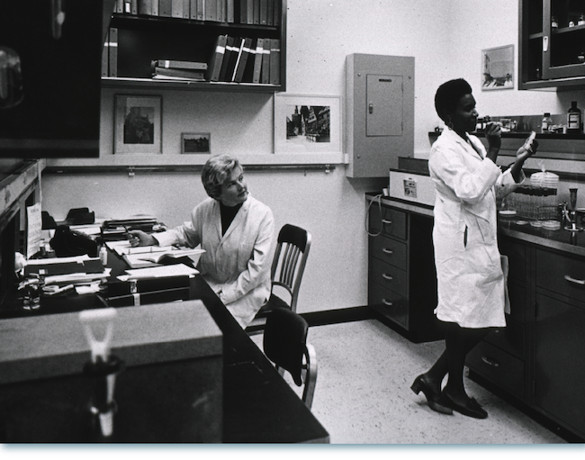 Antibody Essentials Part 3 How Antibody Technology Evolved CST Blog